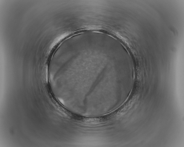 X0000112771171200909101545