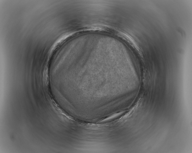 X0000112771172200909101545