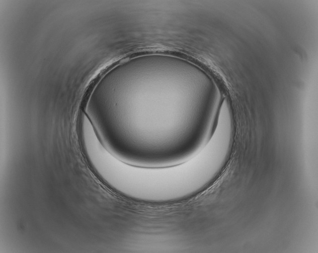 X0000112771173200909101545