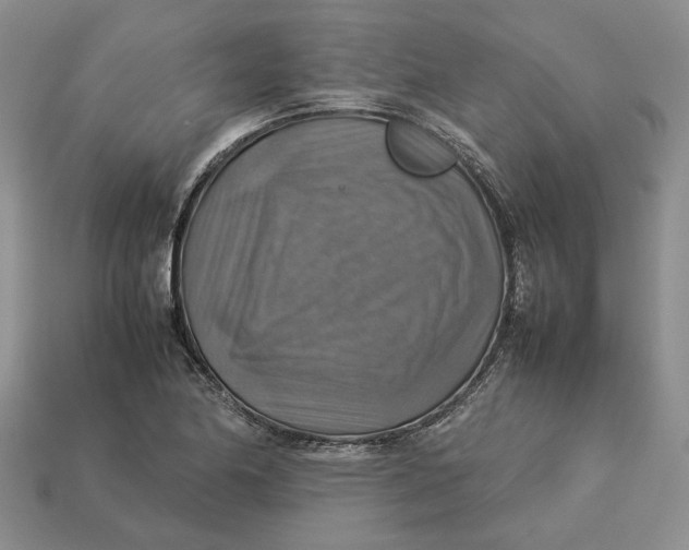 X0000112771174200909101545