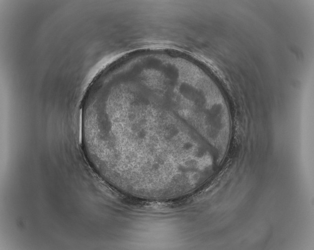 X0000112771175200909101545