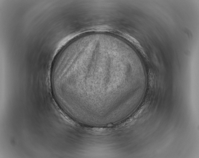 X0000112771176200909101545