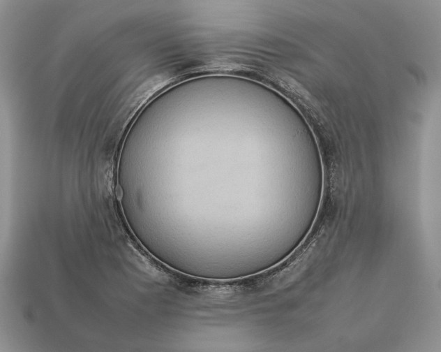 X0000112771177200909101545