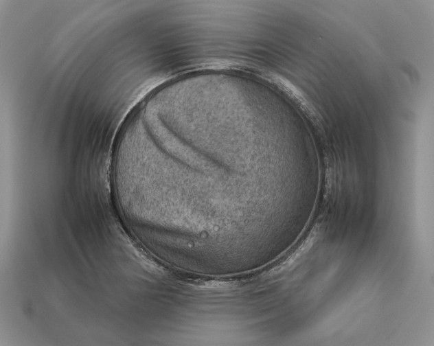 X0000112771178200909101545