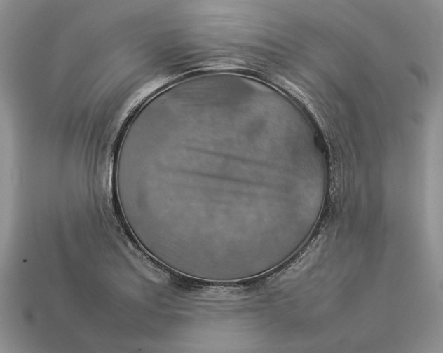 X0000112771179200909101545