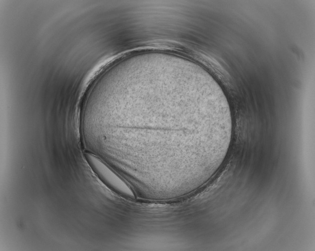 X0000112771180200909101545