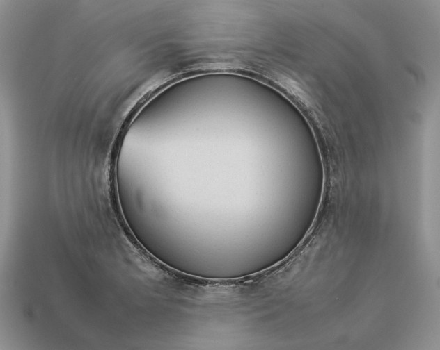 X0000112771181200909101545