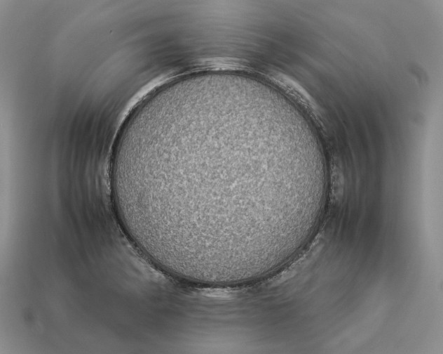 X0000112771182200909101545