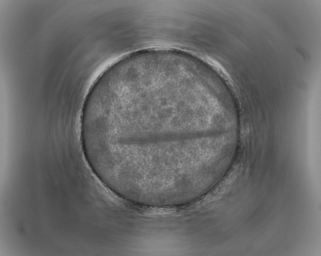 X0000112771183200909101544