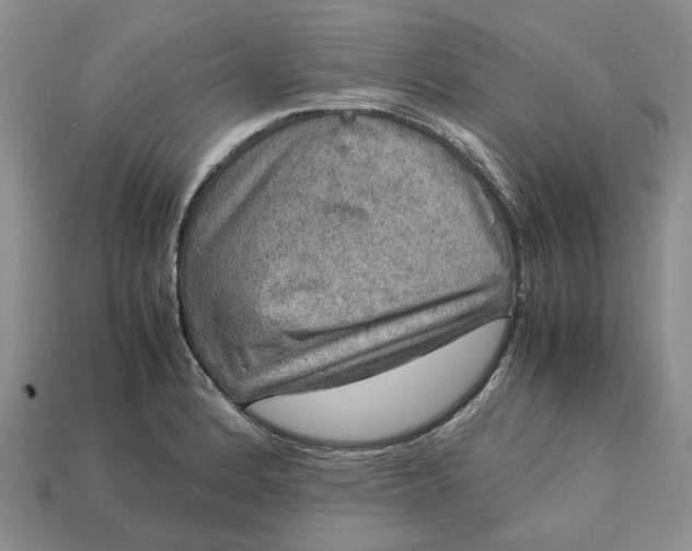 X0000112771184200909101544