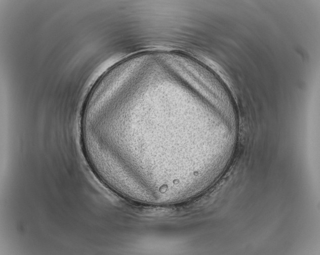 X0000112771187200909101544