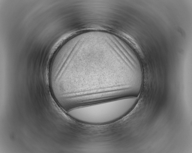 X0000112771188200909101544