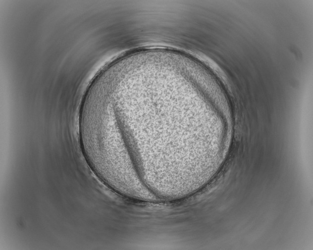 X0000112771191200909101544