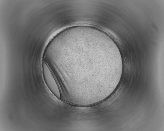 X0000112771192200909101544