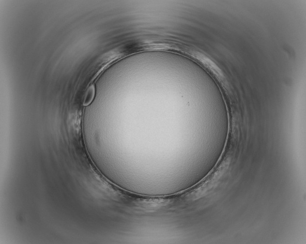 X0000112771193200909101544