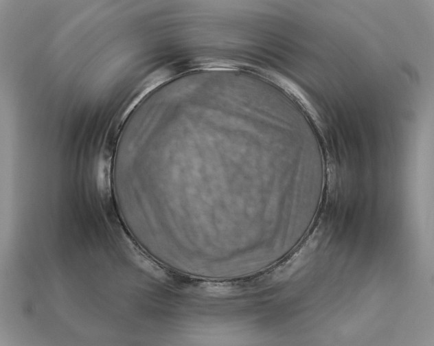 X0000112771194200909101544