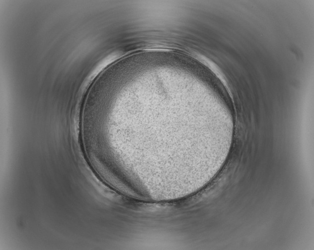 X0000112771195200909101544