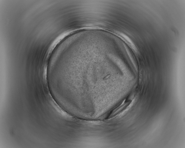 X0000112771196200909101544