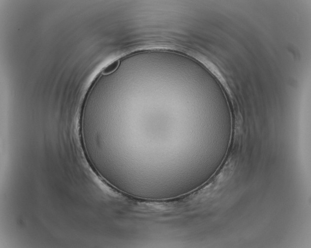 X0000112771197200909101544