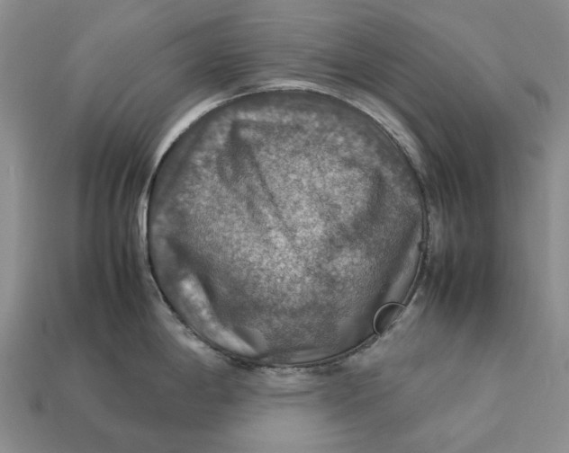 X0000112771198200909101544