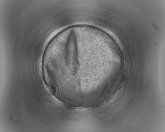 X0000112771199200909101544