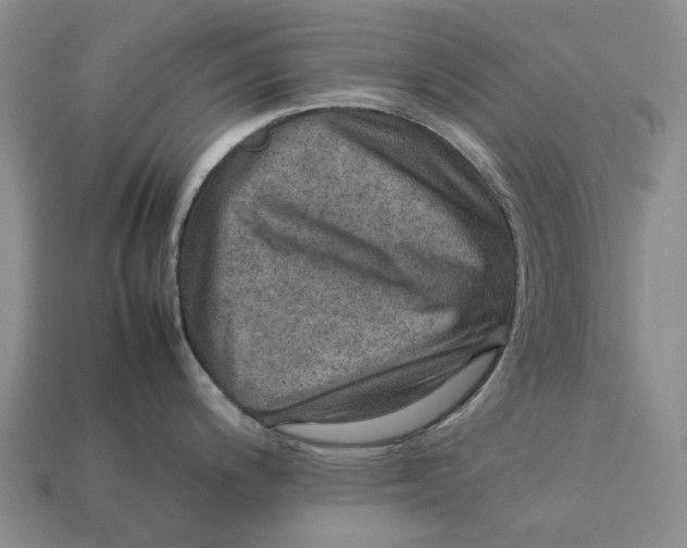 X0000112771200200909101544