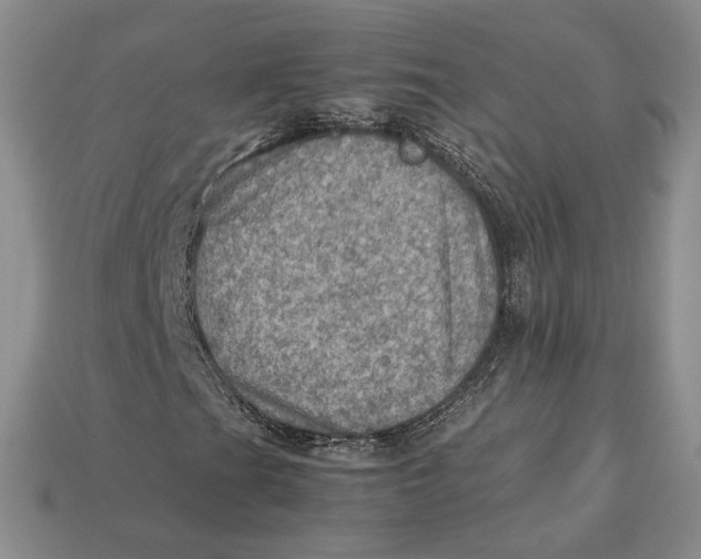 X0000112771201200909101543