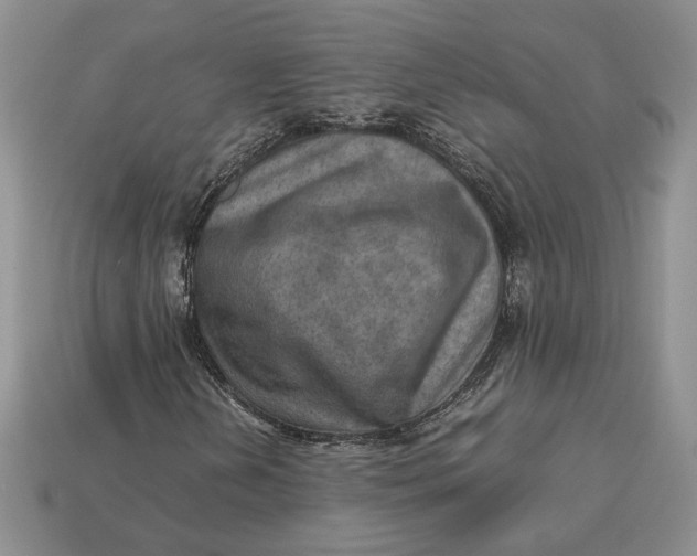 X0000112771202200909101544