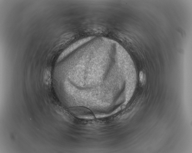 X0000112771203200909101544