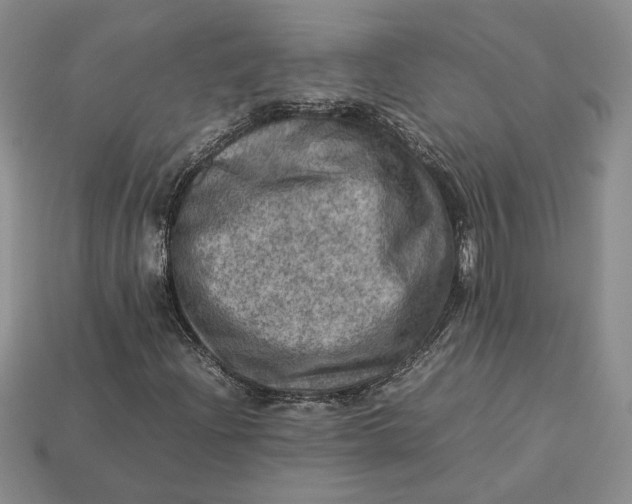 X0000112771204200909101544