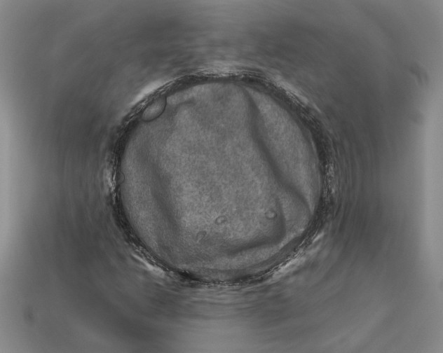 X0000112771206200909101544