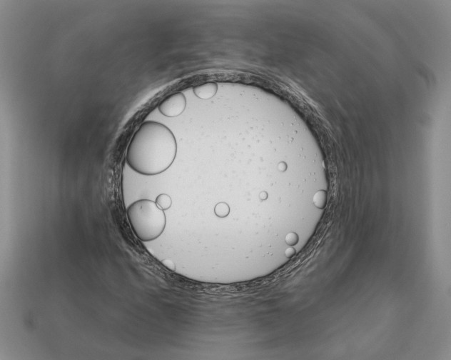 X0000112771208200909101544