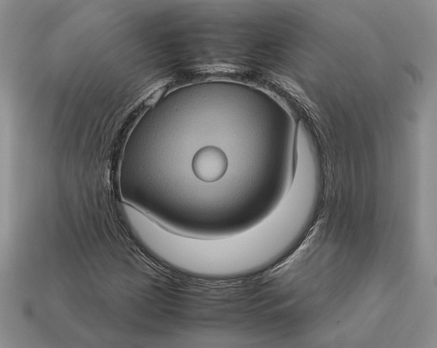 X0000112771209200909101544