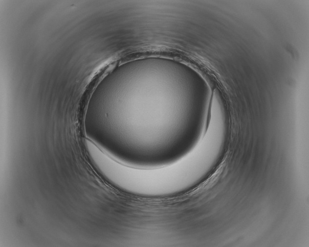 X0000112771210200909101544