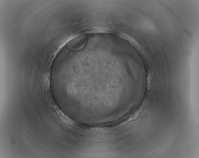 X0000112771212200909101544