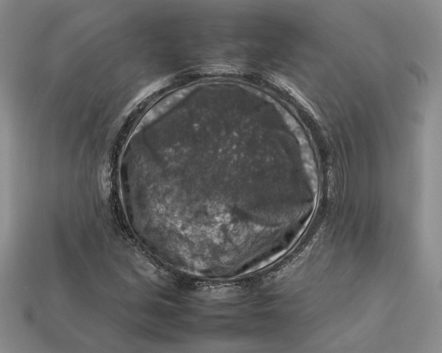 X0000112771213200909101544