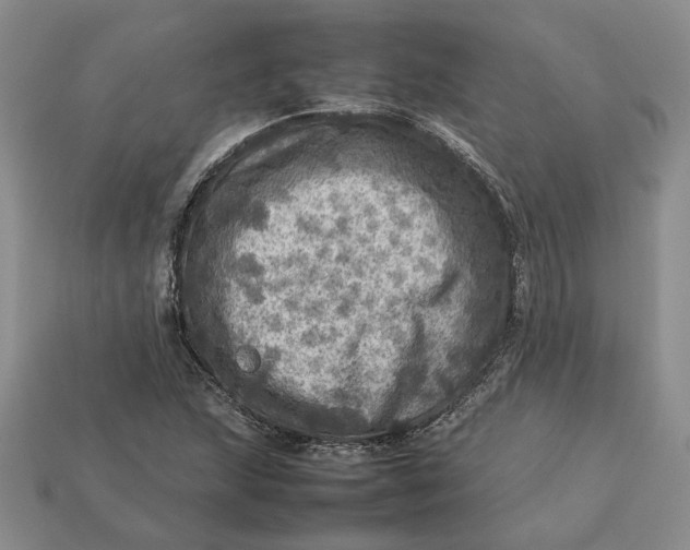 X0000112771215200909101544