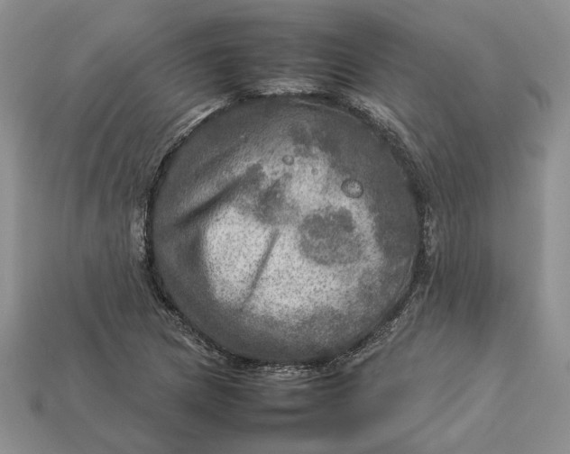 X0000112771217200909101544