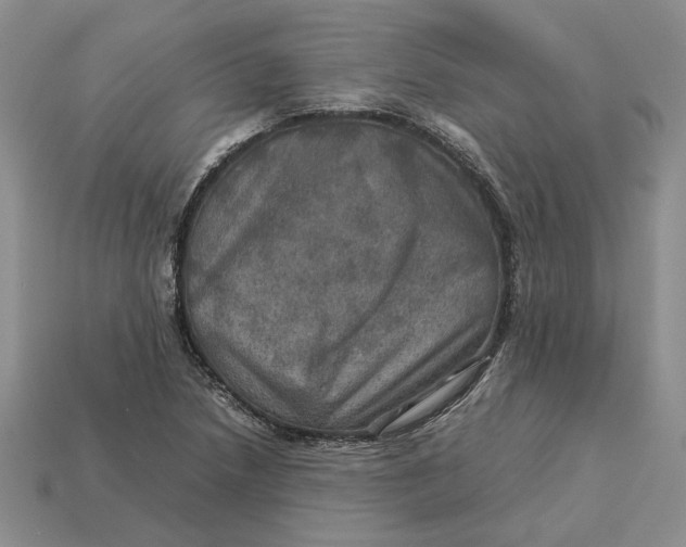 X0000112771218200909101544