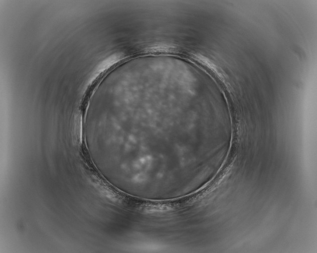 X0000112771219200909101544