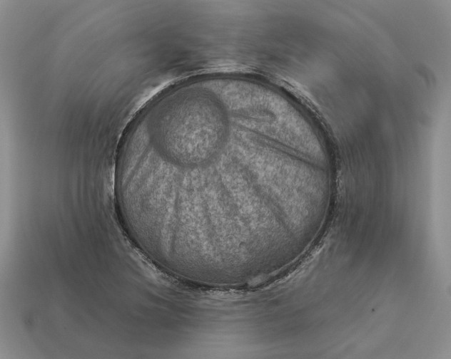 X0000112771220200909101544