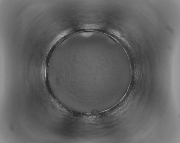 X0000112771221200909101544