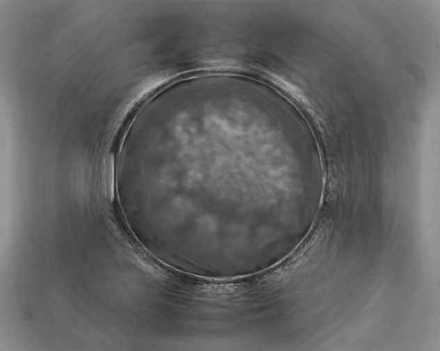 X0000112771223200909101544