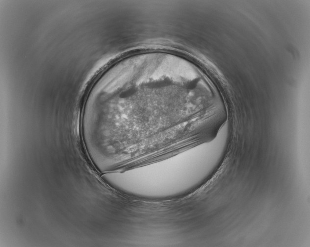 X0000112771224200909101544