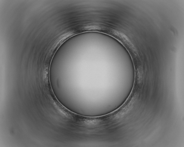 X0000112771225200909101544