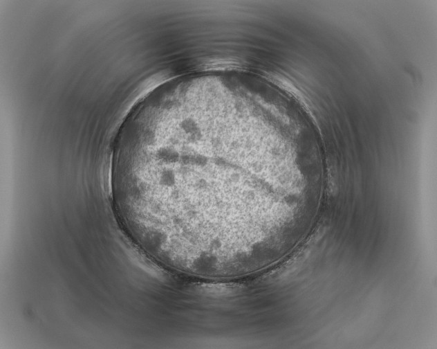 X0000112771227200909101544