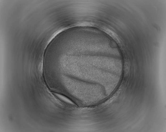 X0000112771228200909101544