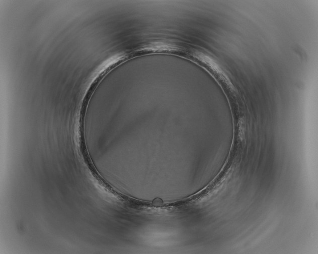 X0000112771229200909101544