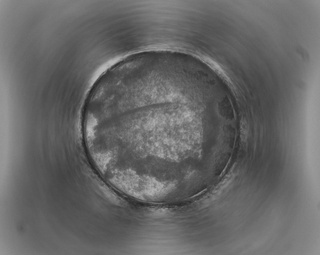 X0000112771230200909101544