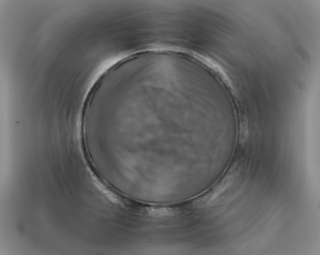 X0000112771231200909101544